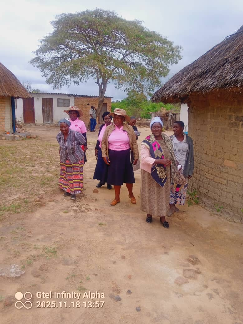 Village Home Visits