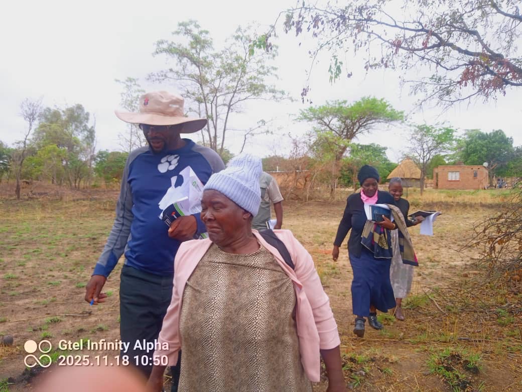 Community Walk