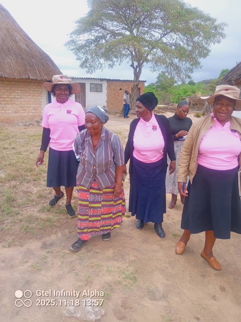 Accompanying the Elderly